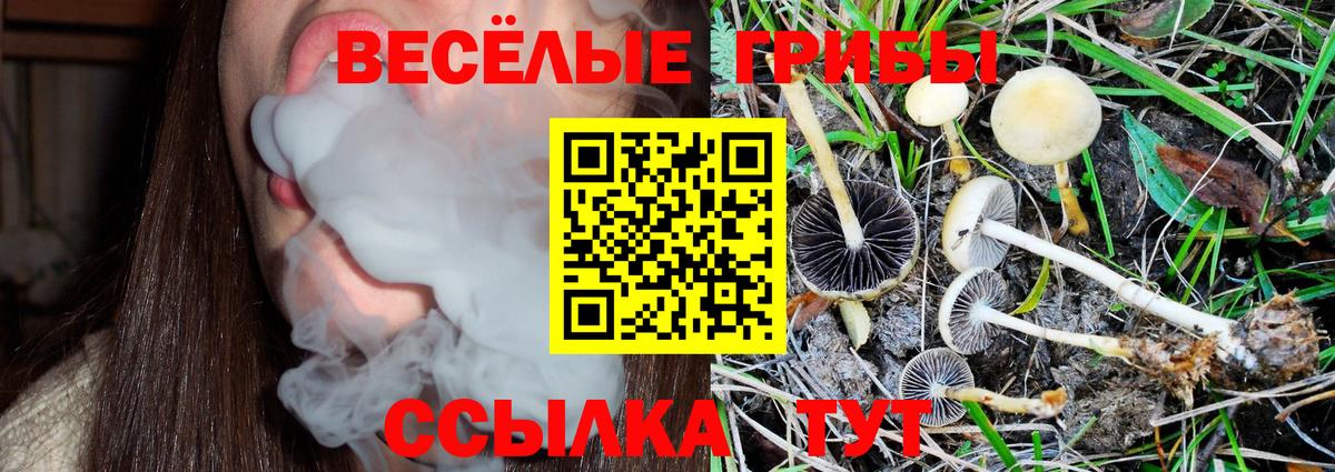 Псилоцибиновые грибы мицелий  Вход с VPN  Каменка 
