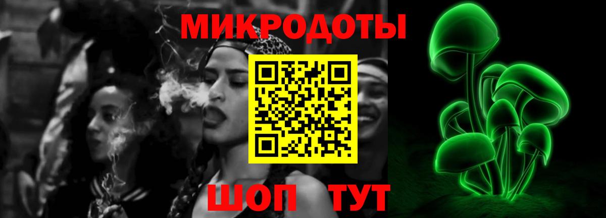 Галлюциногенные грибы Psilocybine cubensis Каменка